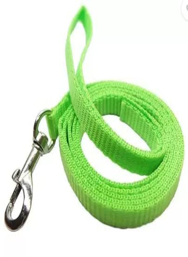 Pups&Pets طوق من النايلون مع حزام قابل للتعديل من Pups&Pets للقطط والأرانب والحيوانات الأليفة الصغيرة - أخضر - Image 3